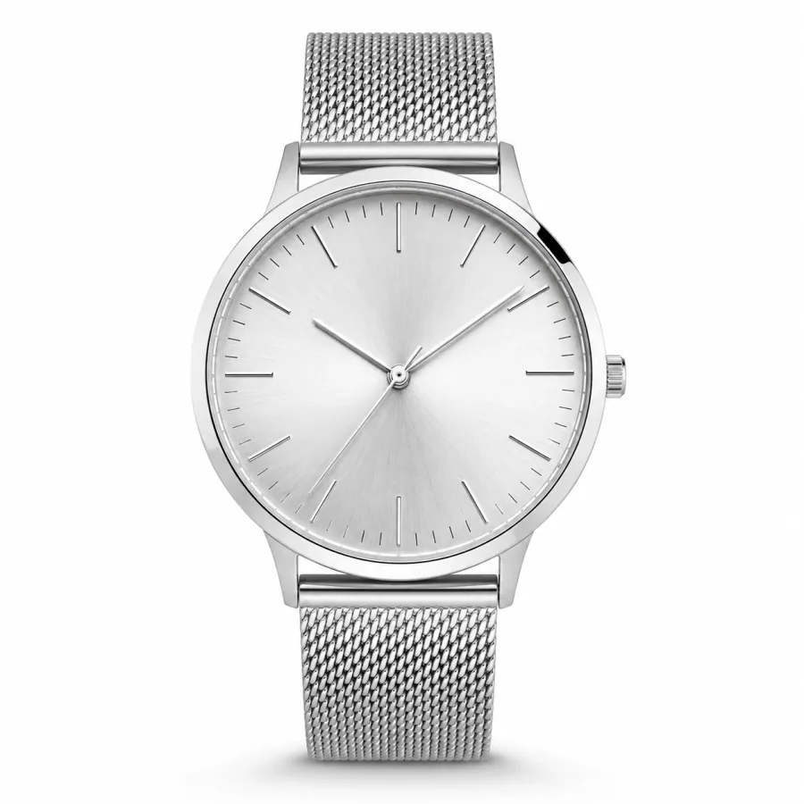 Stainless steel watch reference model 05 — customizable OEM build